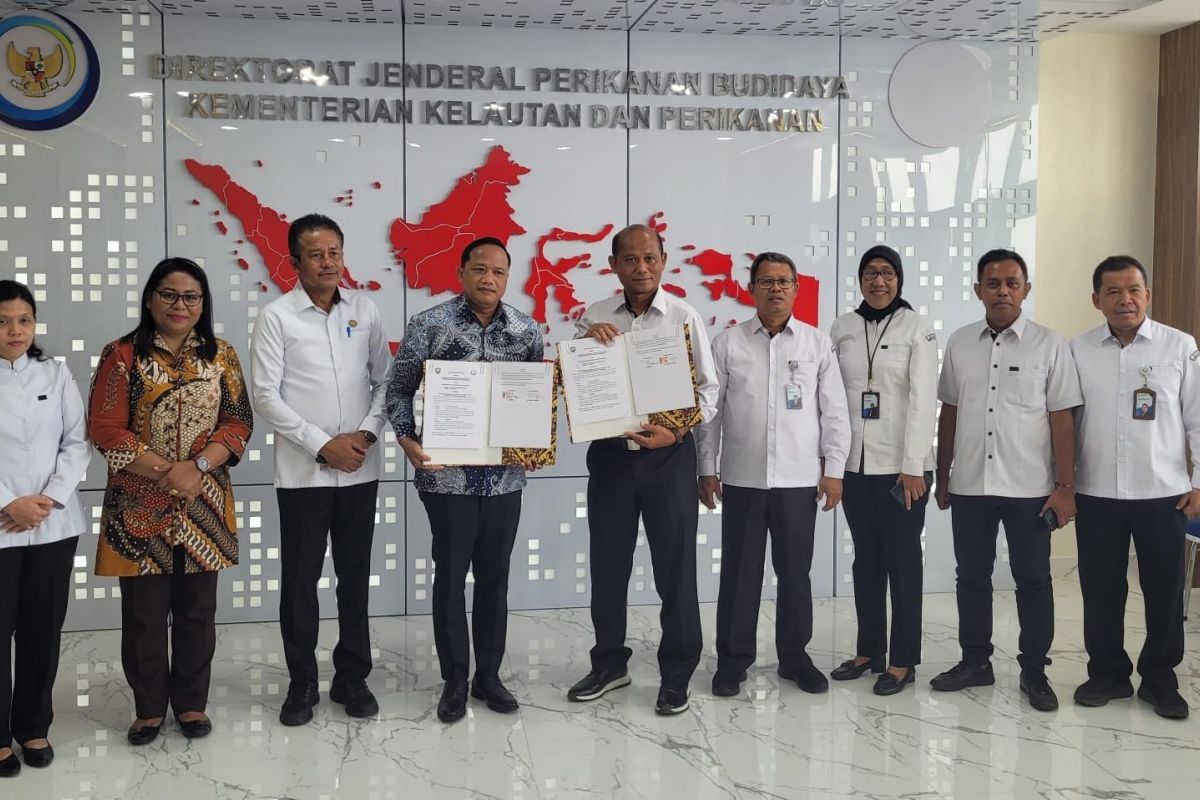 KKP Usulkan Revisi Aturan Pengelolaan Pulau Kecil Pasca Kasus Raja Ampat